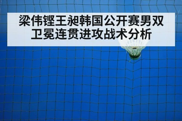 梁伟铿王昶韩国公开赛男双卫冕连贯进攻战术分析